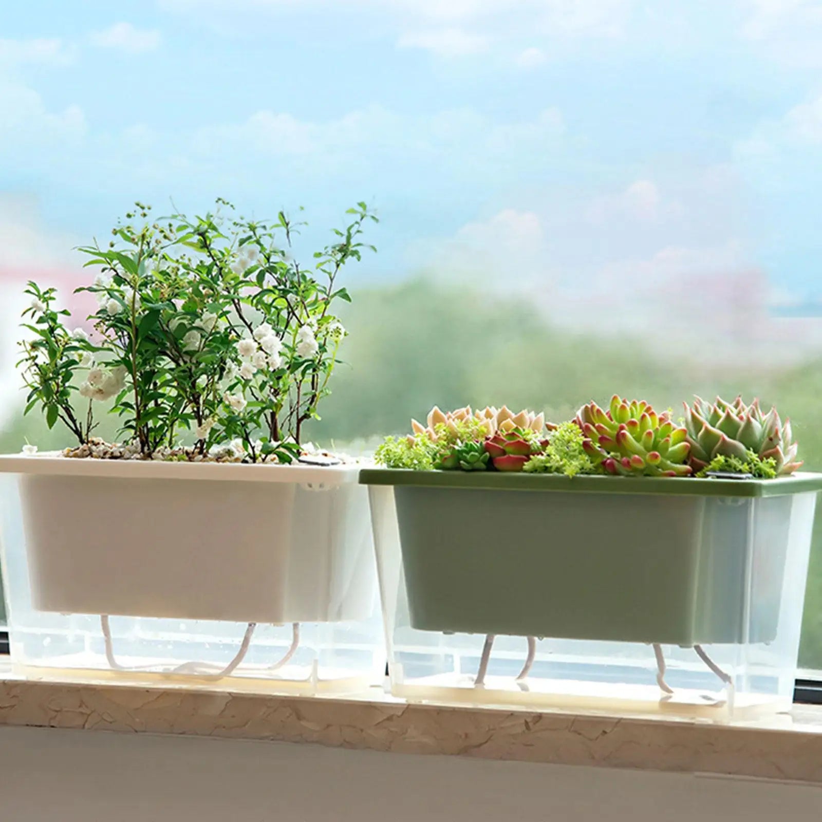 White and green self-watering planters with herbs and succulents on a sunny windowsill