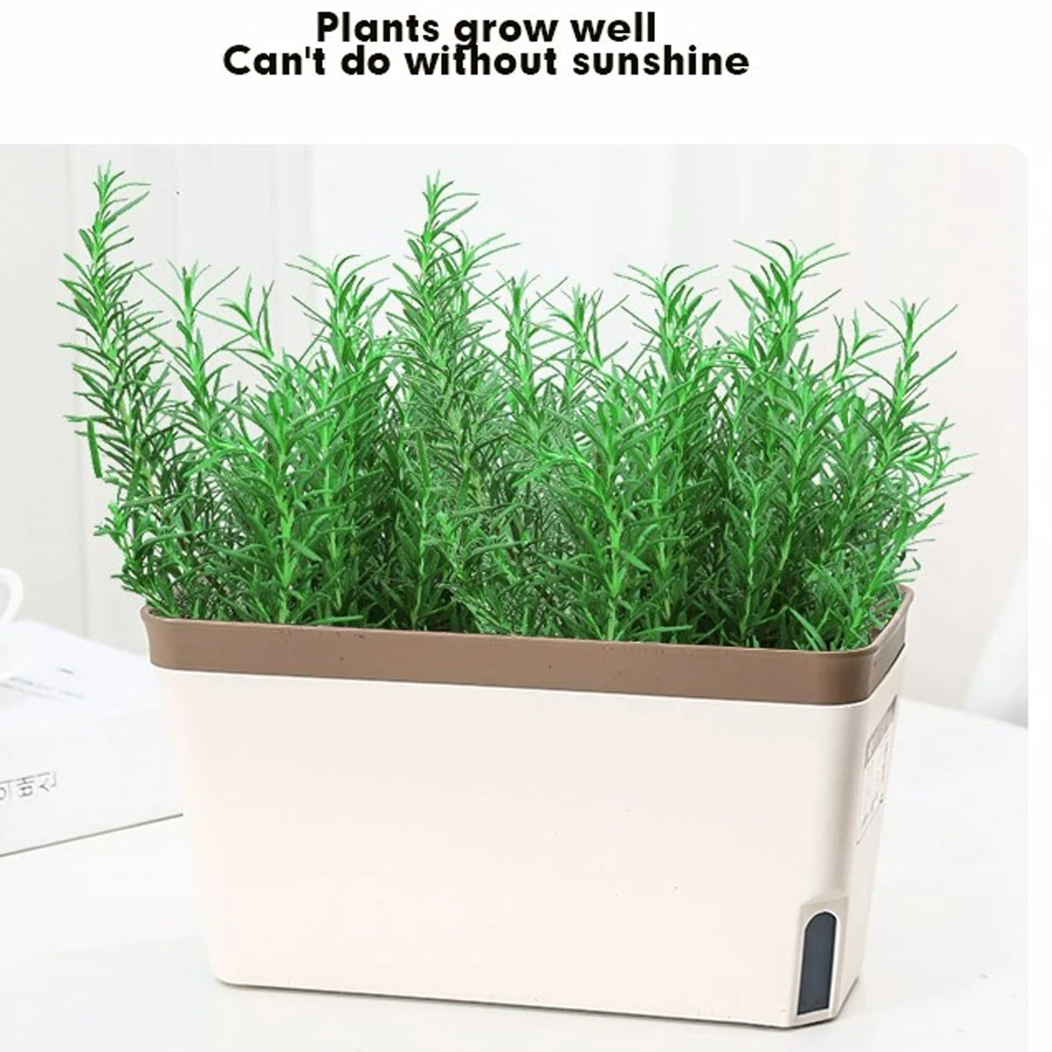 Brown-rim rectangular planter filled with tall green rosemary, set on a tabletop with text overhead.