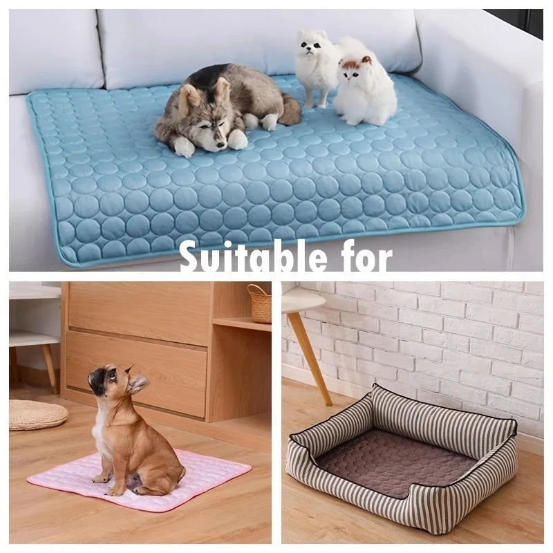 Collage showing cooling pet mat on a sofa, on the floor, and in a pet bed