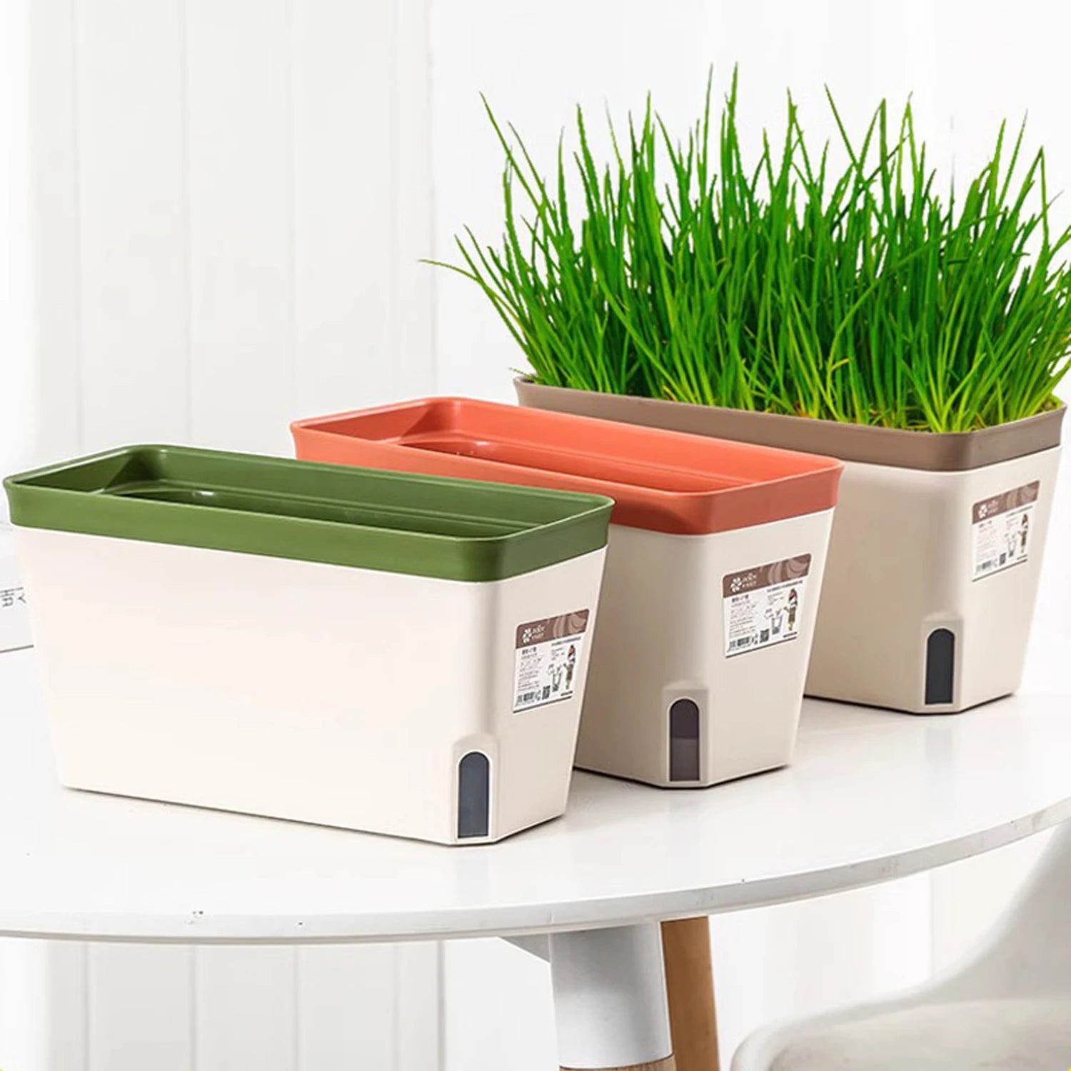 Three rectangular self-watering planters in green, orange, and brown rim colors shown on a white table, with one planted with green grass.