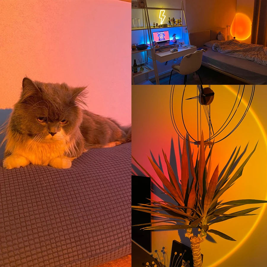 Collage of sunset lamp used on a cat, in a bedroom, and highlighting a plant on the wall