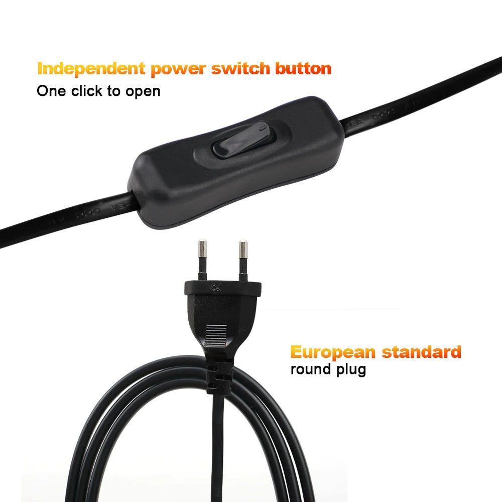 Close-up of black EU plug power cord and on/off switch for wood lamp base