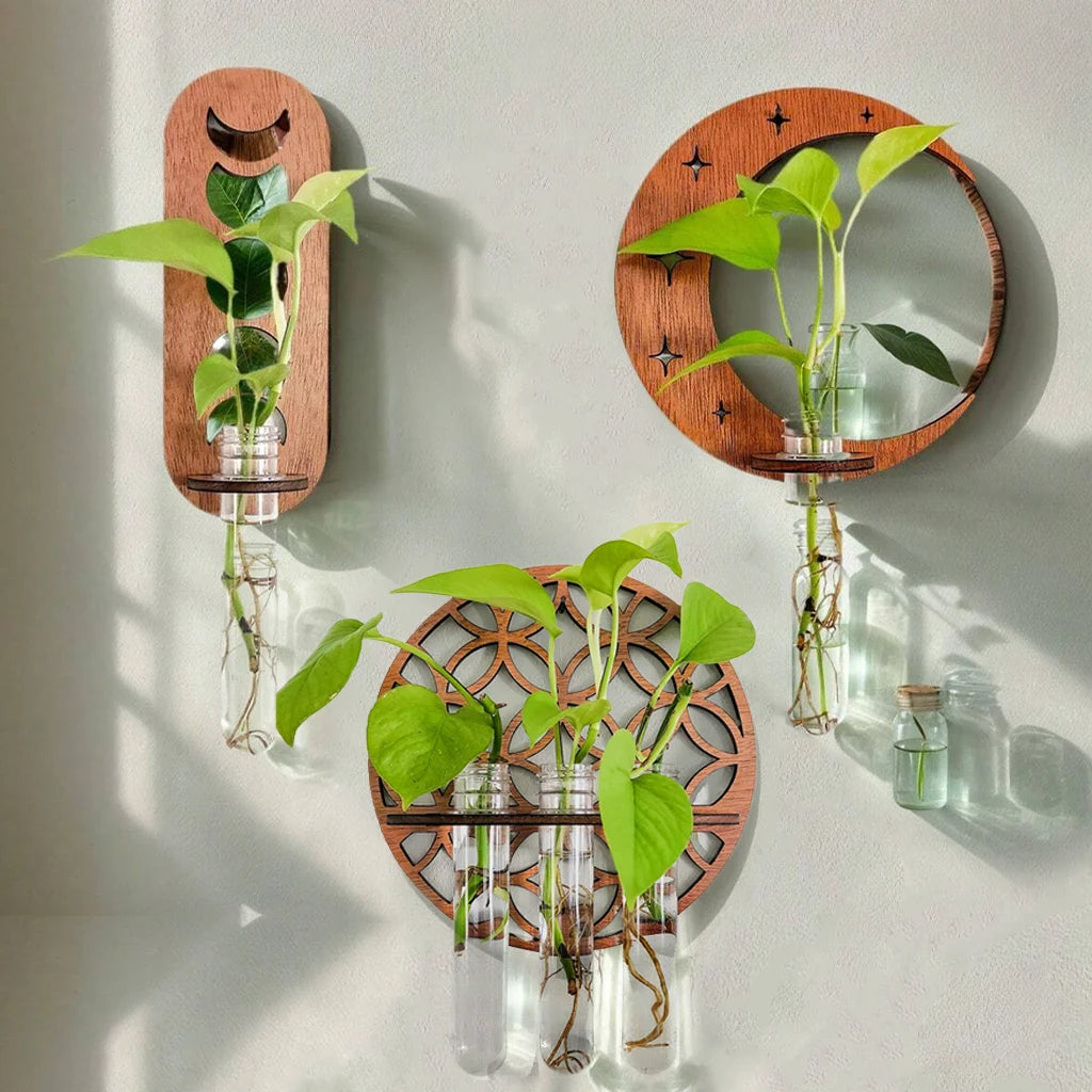Wall-mounted wooden plant propagation stations in moon, circle, and geometric patterns with green plant cuttings displayed against a light wall