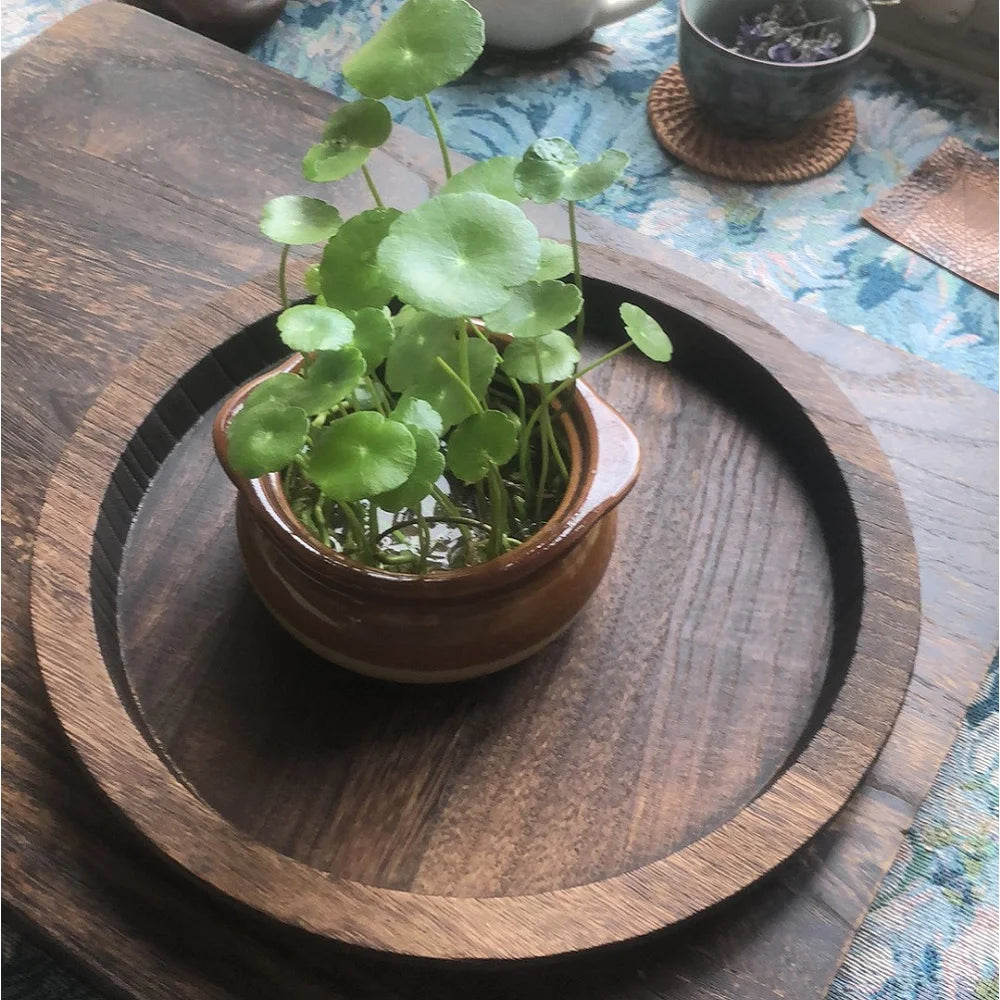 Wooden tray displaying a potted plant on a patterned tablecloth in a casual home setting