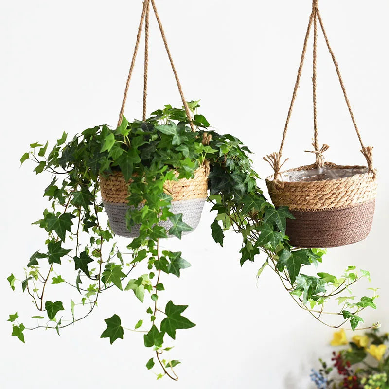 Two-tone woven hanging baskets in beige and brown, and beige and grey, displayed with trailing indoor plants against a white background
