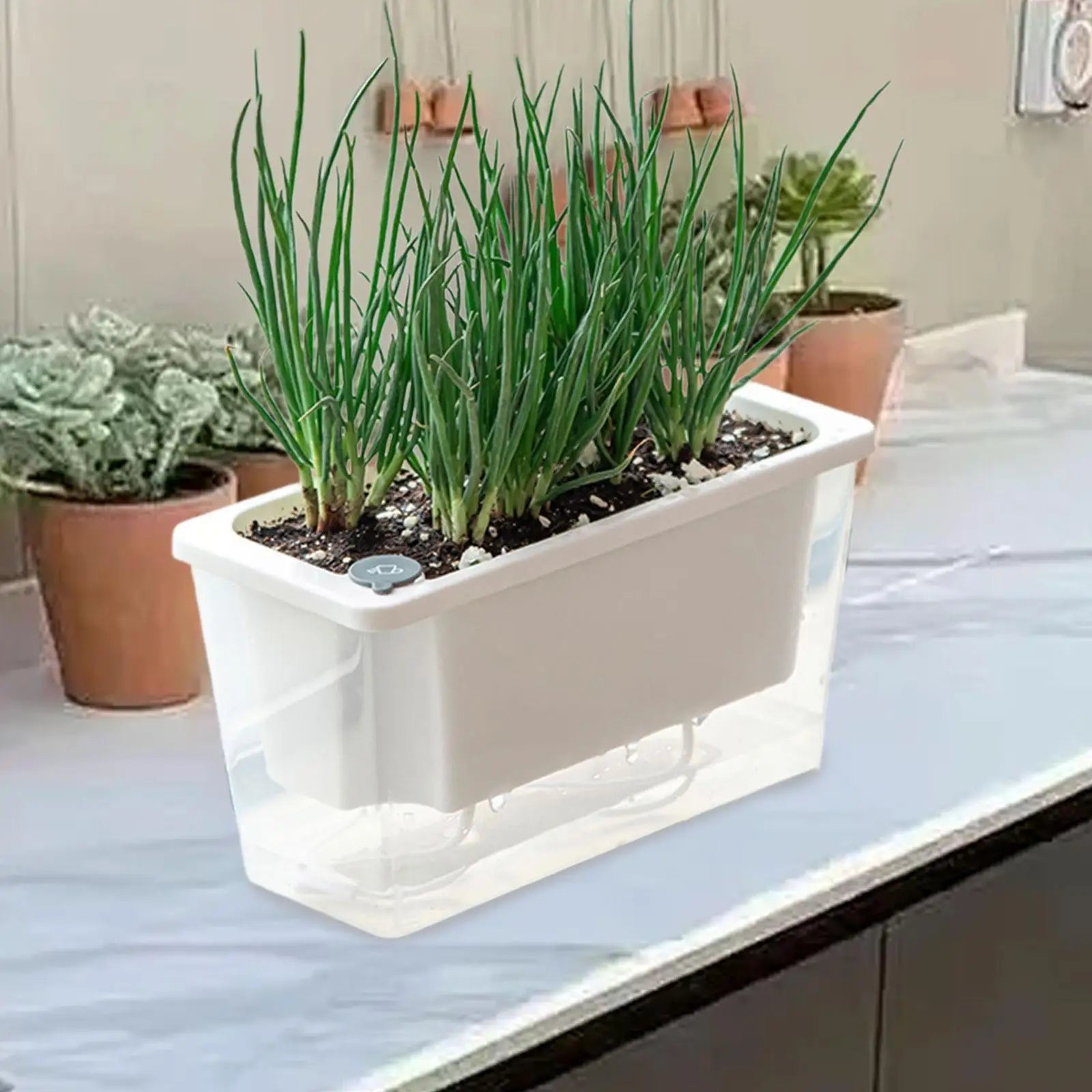 Self-Watering Rectangular Planter Box for Indoor Windowsills & Balconies