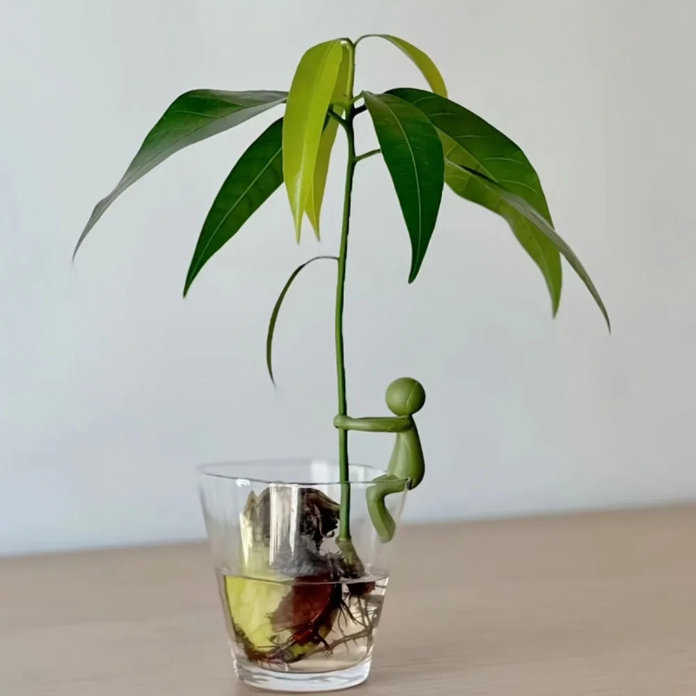Set of 3 Stem Holders for Plant Propagation and Vase Display