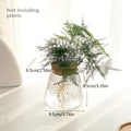Tabletop Glass Propagation Vase with Cork Lid for Plant Cuttings