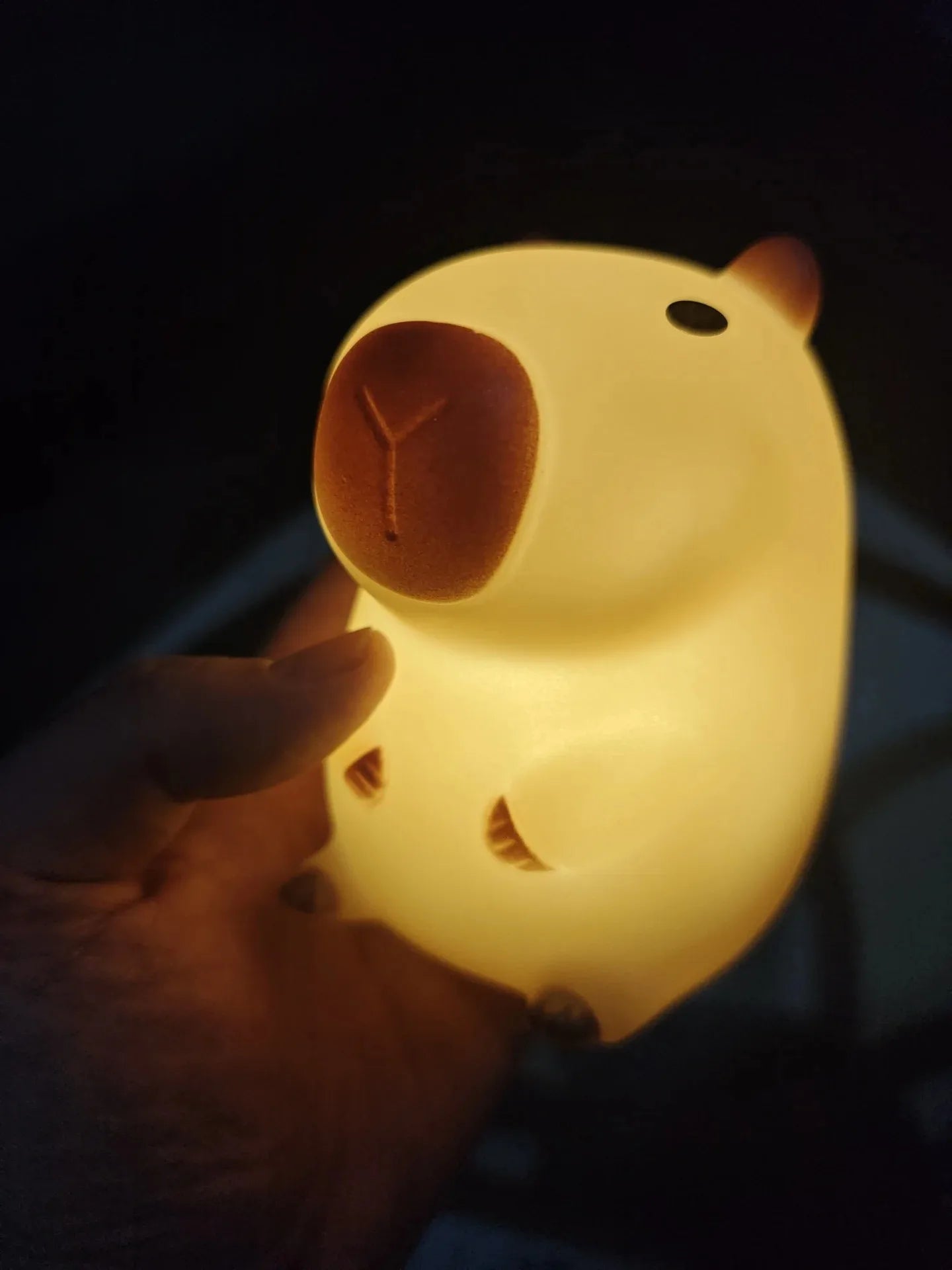 Hand holding a glowing capybara night light in a dark room