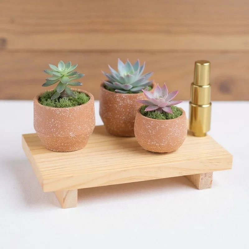 Minimalist Wooden Display Tray for Bathroom, Vanity, or Tabletop Decor – Raised Small Stand, Multiple Colors