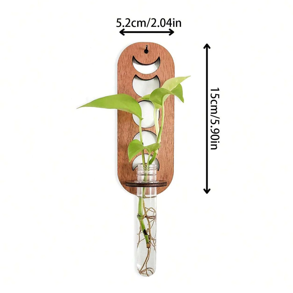 Luna Botanica Wall-Mounted Wooden Propagation Station – Moon Phase & Geometric Plant Terrariums for Bedroom, Bathroom, or Office