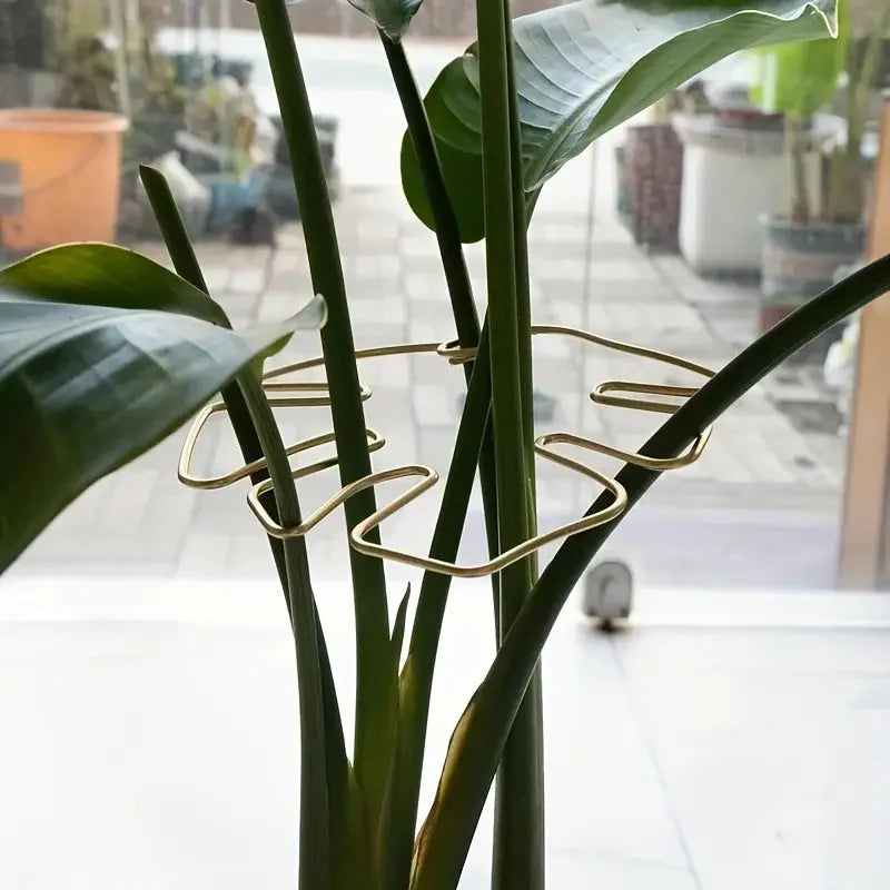 Monstera-leaf shaped wire plant support holding up plant stems in a pot