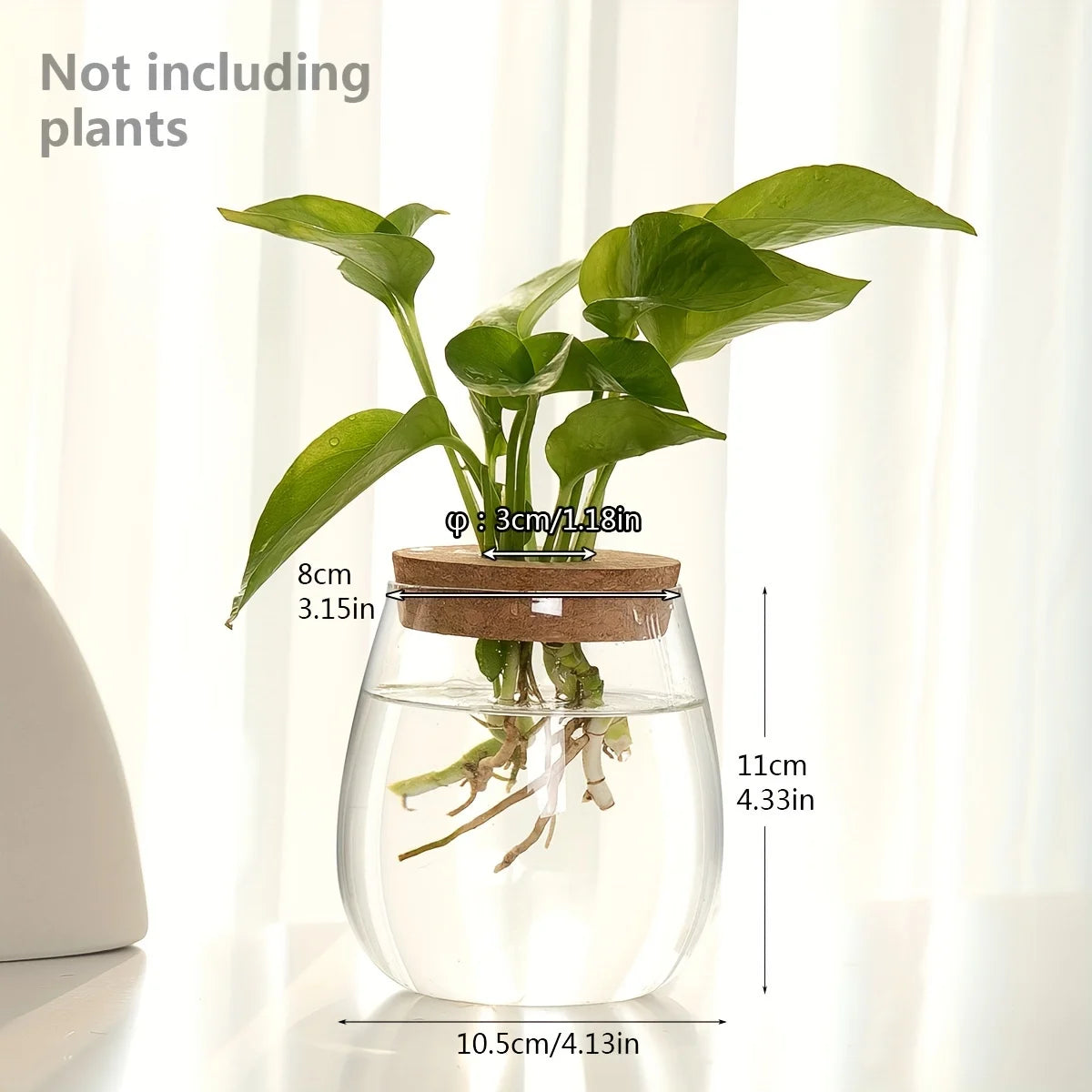 Tabletop Glass Propagation Vase with Cork Lid for Plant Cuttings