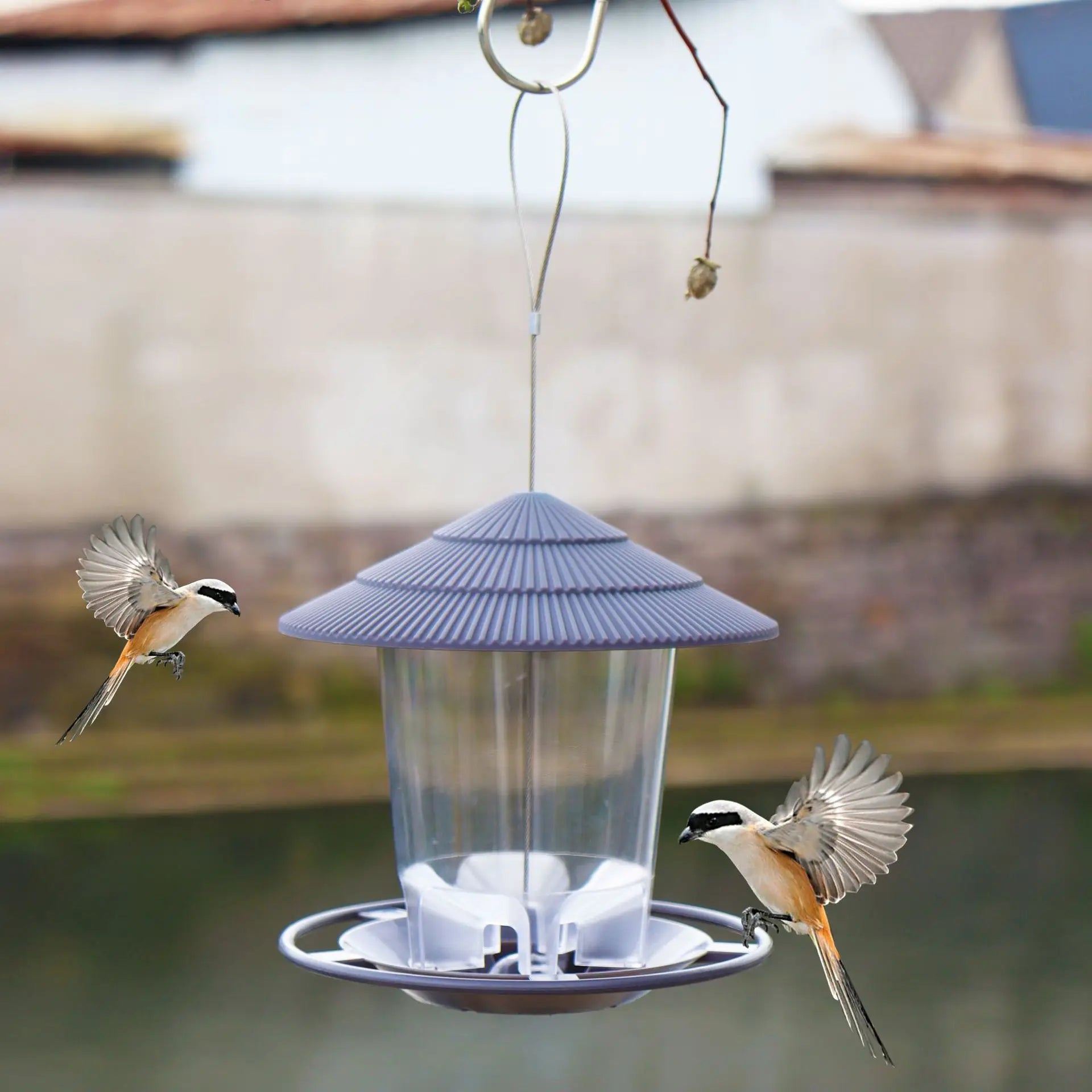 gray hanging bird feeder outdoors near water, two small birds flying and perching