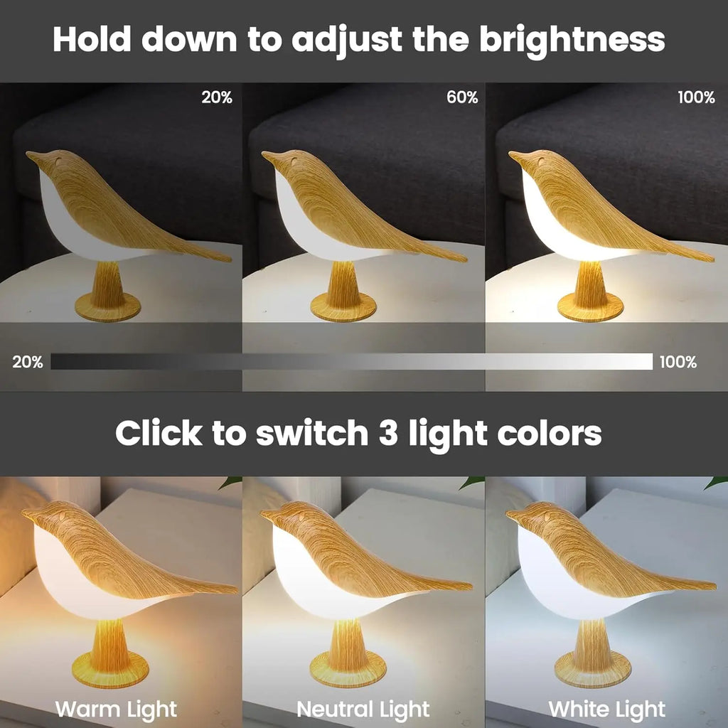 Robin LED Touch Night Light