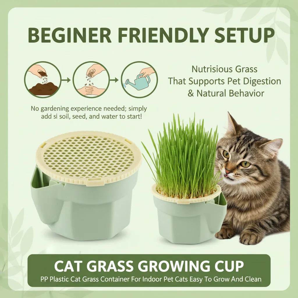 Beginner-friendly cat grass growing cup setup infographic with cup and cat