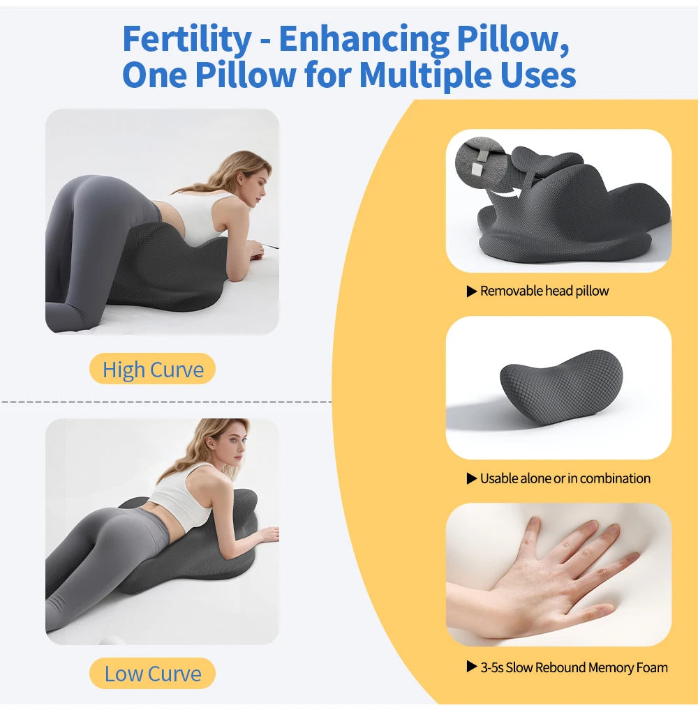 Ergonomic Memory Foam Bedside Reading Backrest Pillow