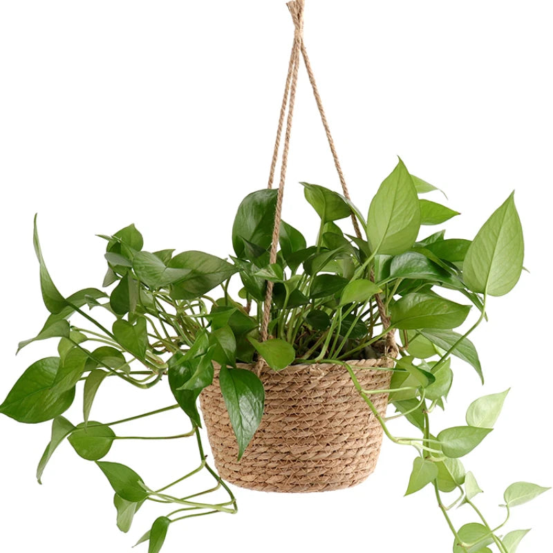 Woven Hanging Planter Basket with Jute Rope for Cozy Indoor or Porch Greenery