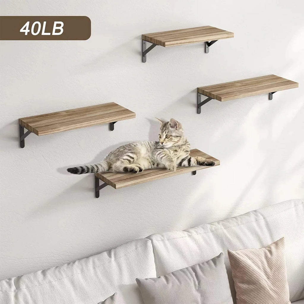 Light wood floating shelves with black brackets mounted above a sofa, one pictured with a cat resting on it