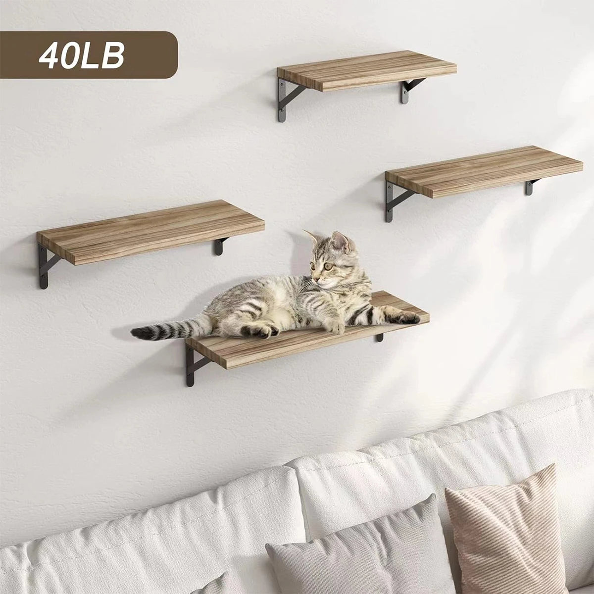 Light wood floating shelves with black brackets mounted above a sofa, one pictured with a cat resting on it