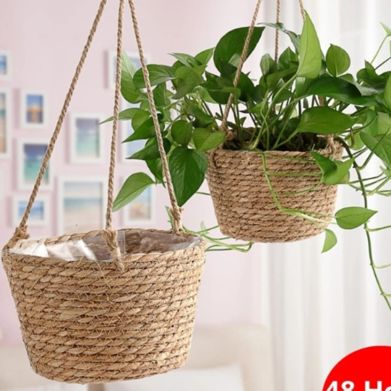 Two woven hanging planter baskets with jute rope, one holding a green leafy plant, in a bright indoor living space