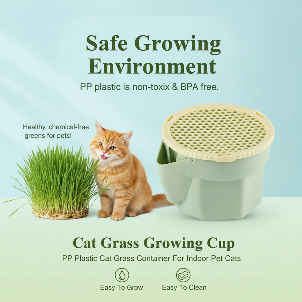 Cat grass growing cup product image with cat and highlighted safe growing environment text