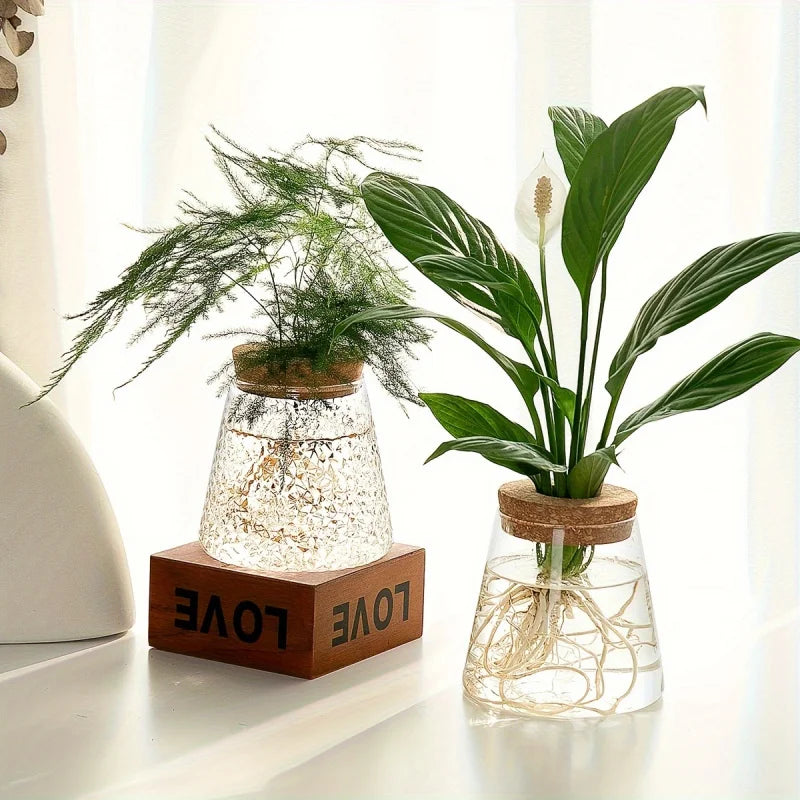 Tabletop Glass Propagation Vase with Cork Lid for Plant Cuttings