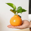 Clementine Ceramic Vase for Tabletop Decor
