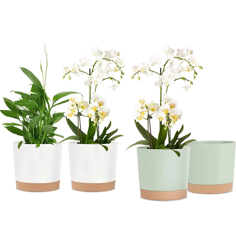 White and green plastic planters with removable base used for displaying orchids indoors