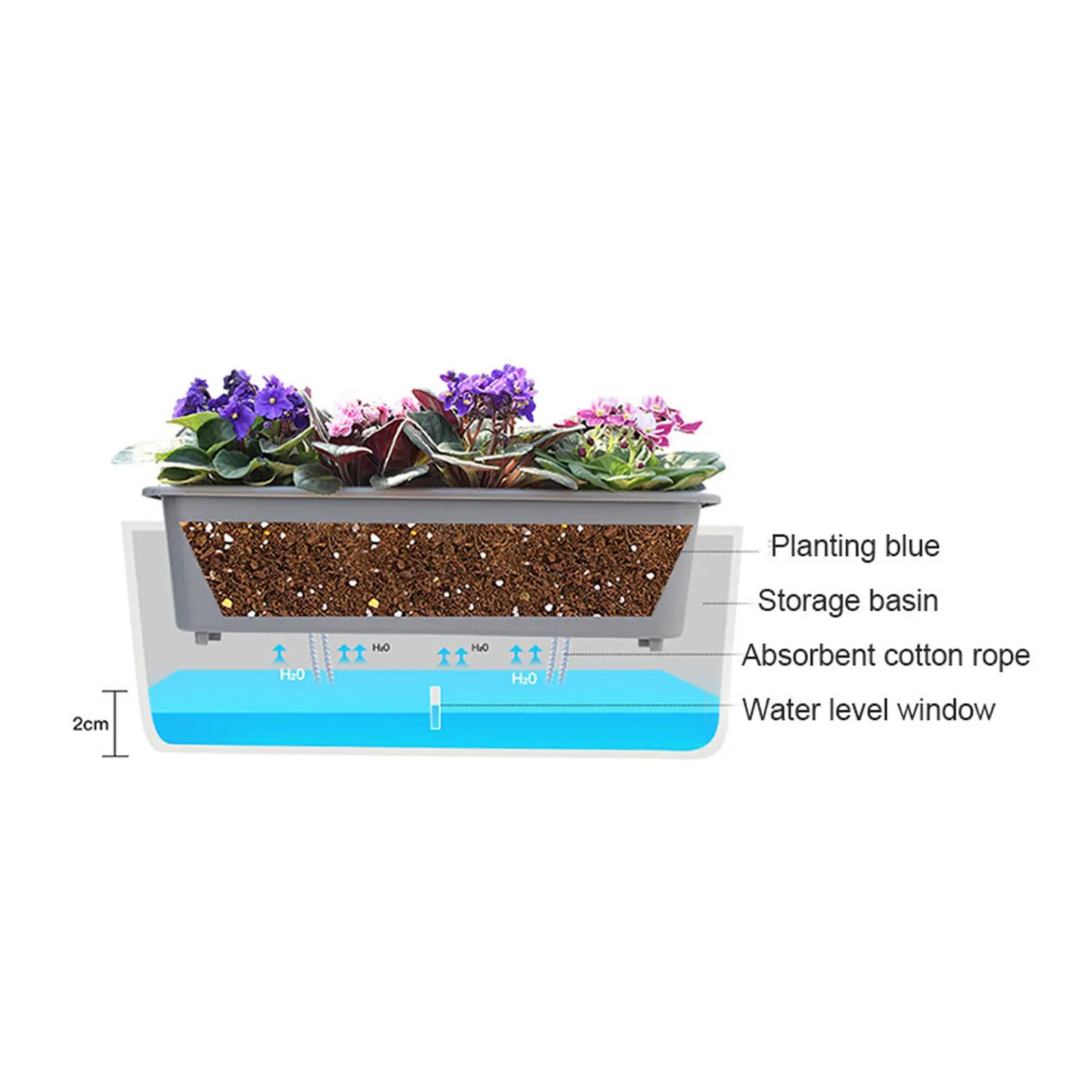 Diagram showing the double-layer self-watering planter with labeled water basin and planting area