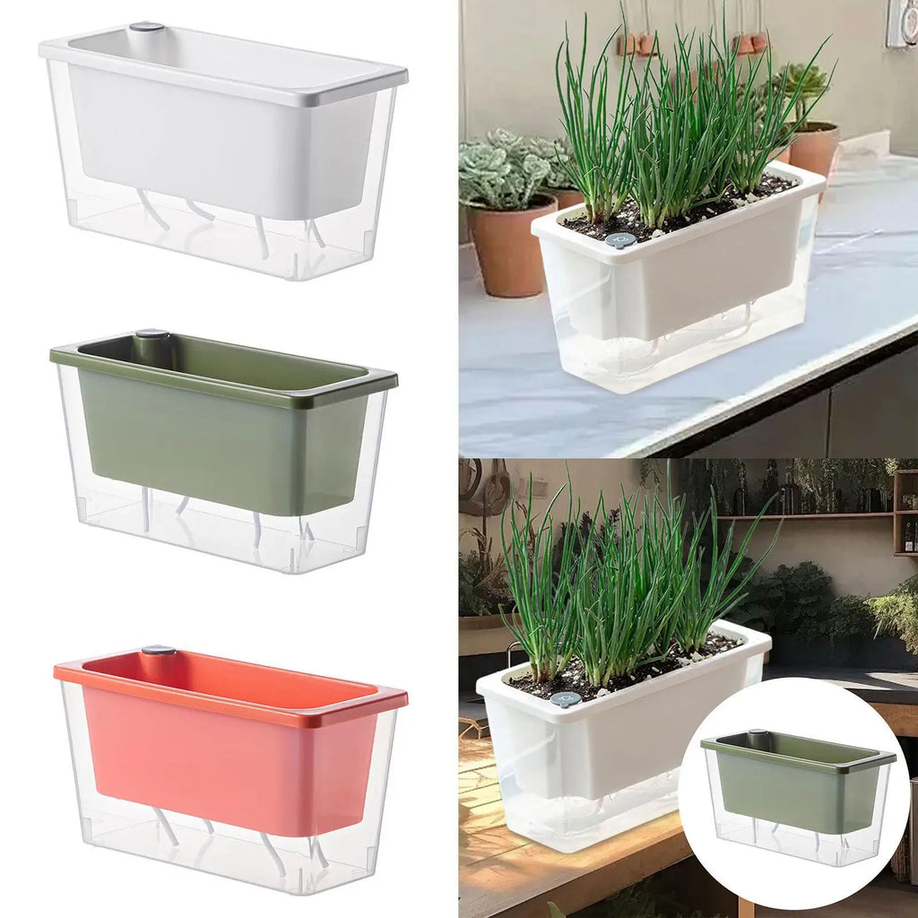 Self-watering rectangular planter boxes in white, green, and orange with example kitchen and windowsill plantings