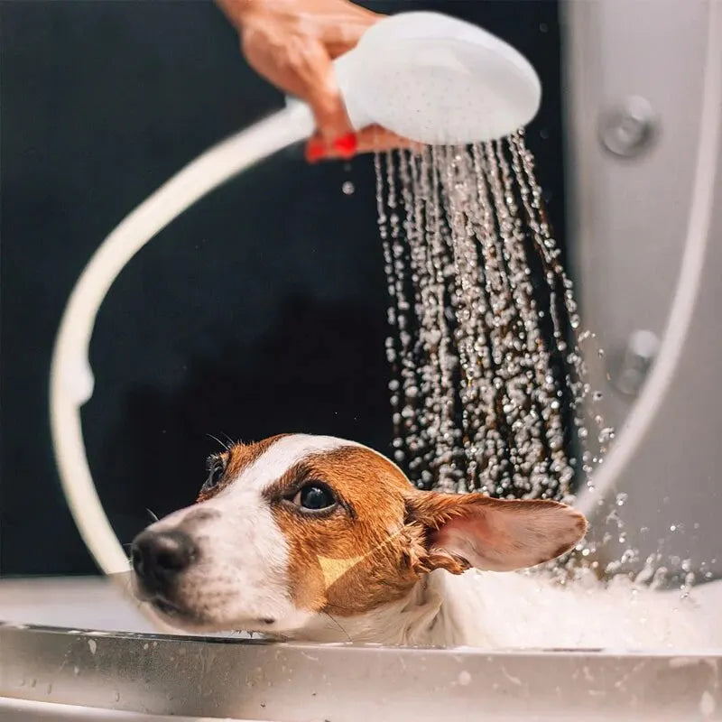 person using handheld pet sprayer to bathe a dog