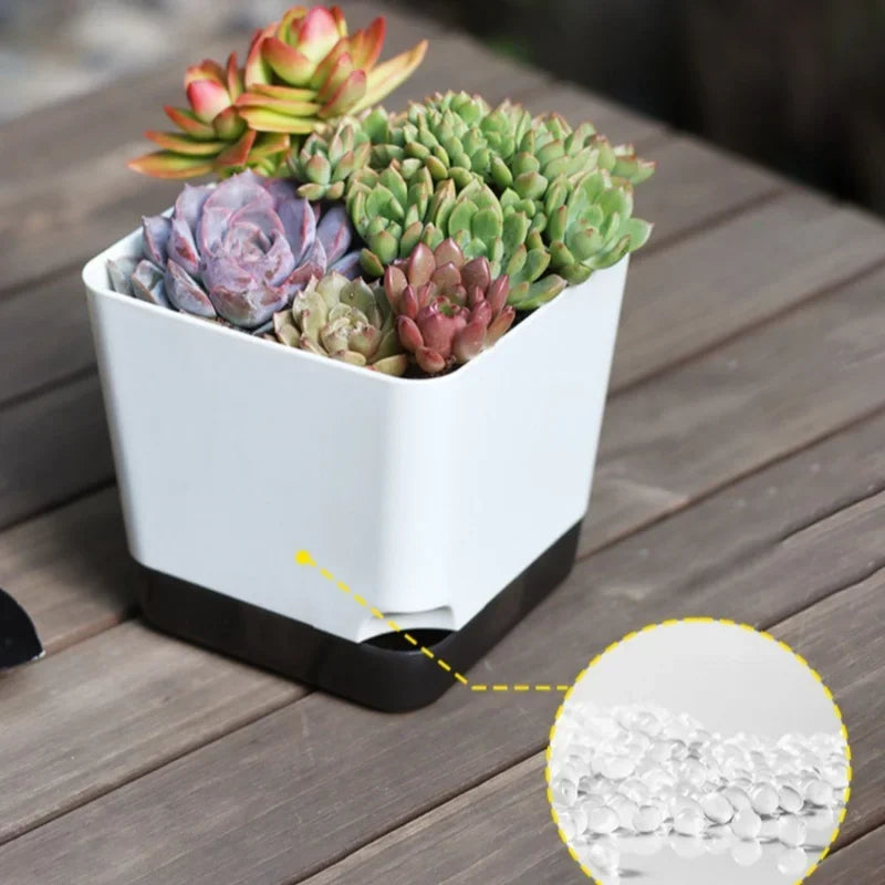 Set of 5 Square Self Watering Indoor & Outdoor Planters with Clear Reservoir – White Plastic Pots for Succulents and Small Houseplants