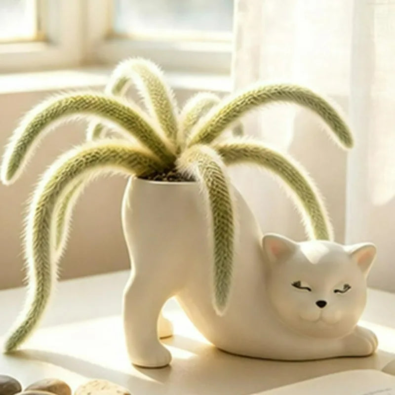 Stretching cat planter pot on windowsill with monkey tail cactus