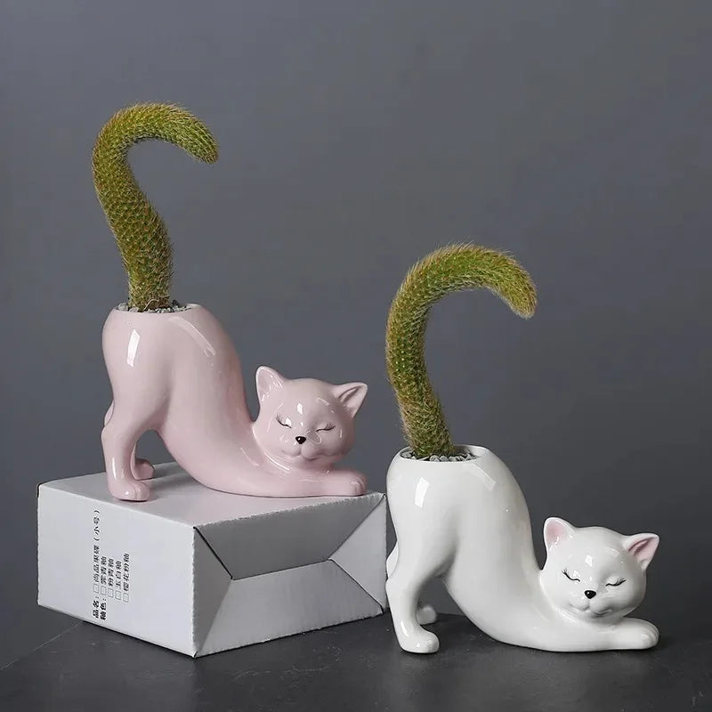 White and pink cat-shaped ceramic succulent planters with cacti, displayed on a desk and white box