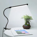 Clip-on flexible LED desk lamp shining onto a desk with plant and magazine