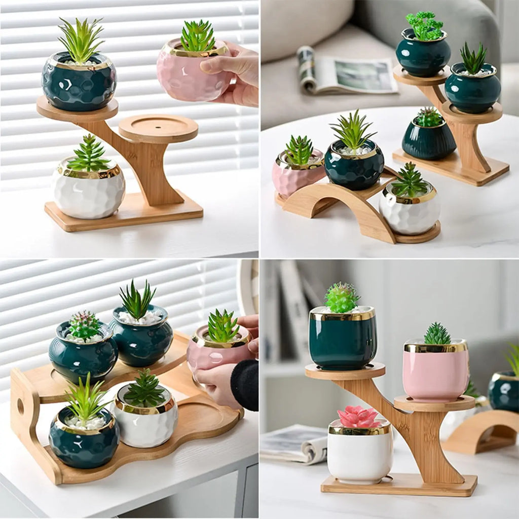 collage of small plant stands displayed with various potted succulents in home settings