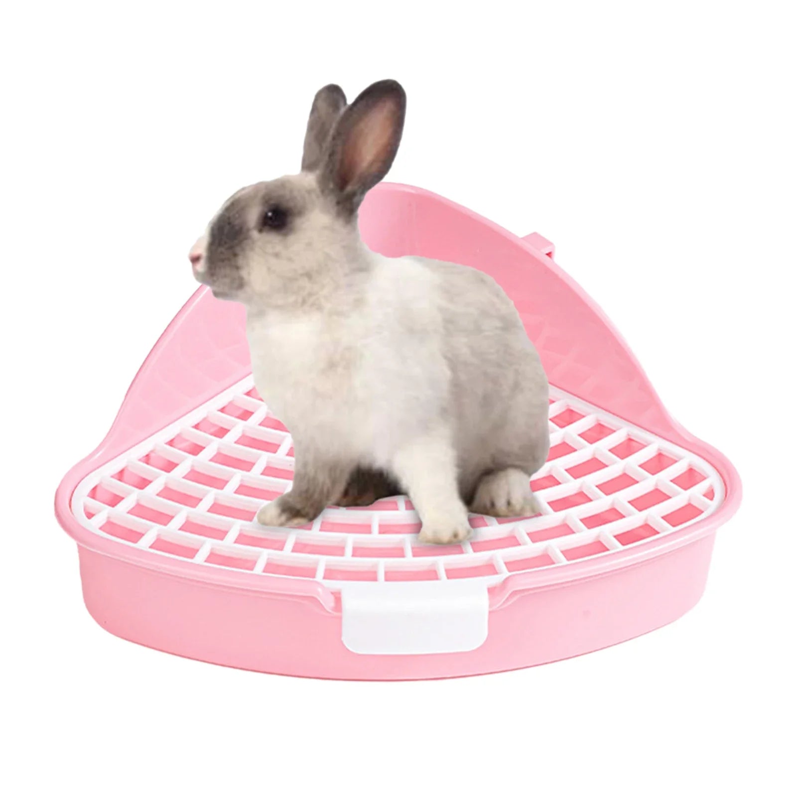 Pink corner litter tray with a rabbit sitting inside