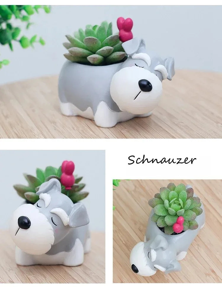 Collage of schnauzer dog resin planter shown from multiple angles, styled with succulent