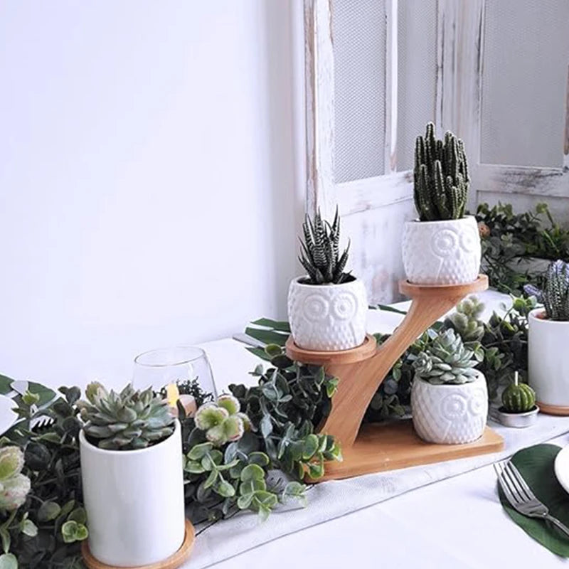 Arden 3-Tier Mini Plant Stand for Desk & Window Sill