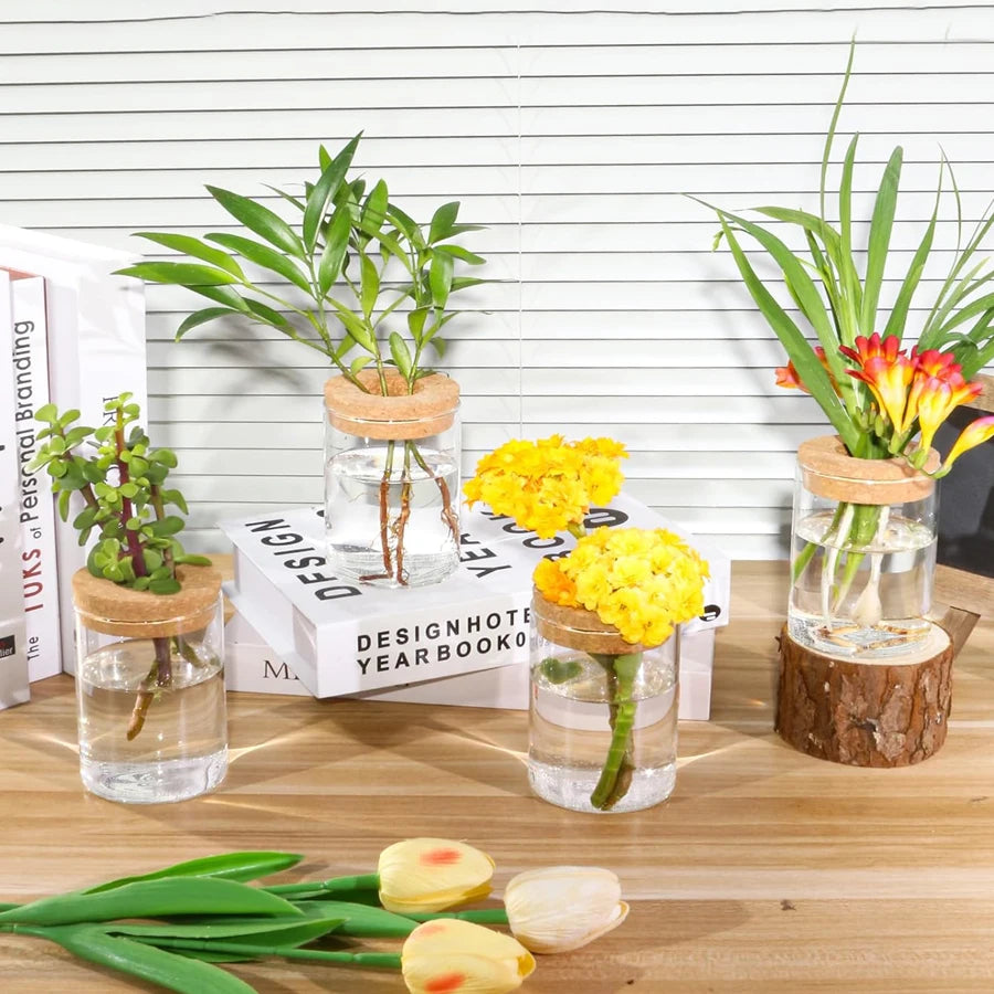 Set of four acrylic propagation jars with cork lids holding flowers and plant cuttings on a desk