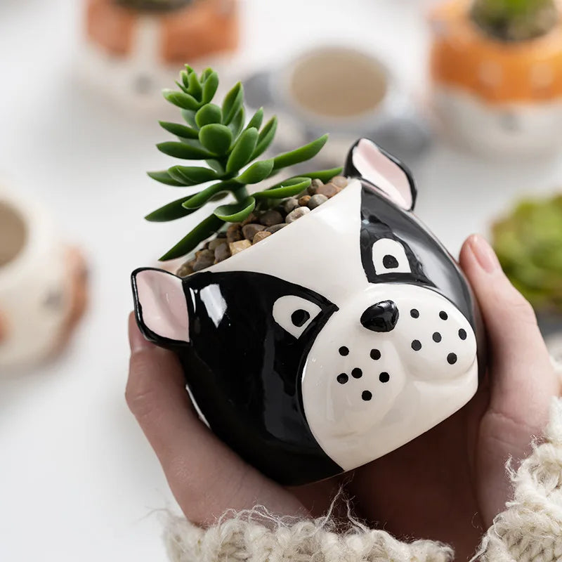 Close-up of a black and white dog face porcelain planter with a succulent
