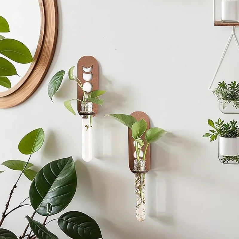Two moon phase wooden wall propagation vases with glass tubes holding plant cuttings, styled near a mirror and greenery