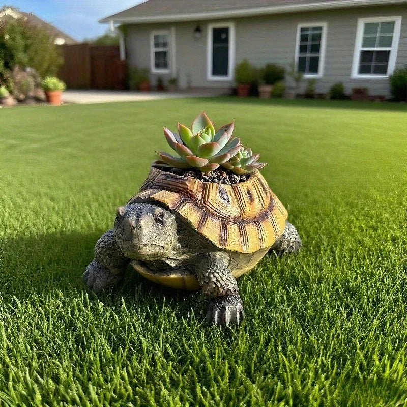 Turtle succulent planter with a succulent displayed on outdoor grass