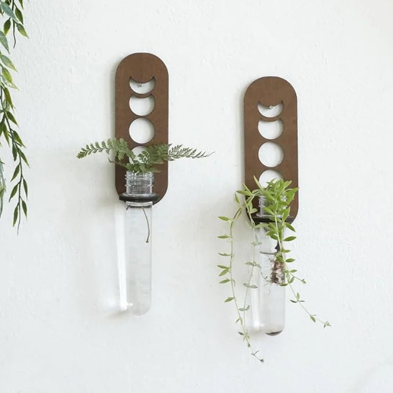 Luna Botanica Wall-Mounted Wooden Propagation Station – Moon Phase & Geometric Plant Terrariums for Bedroom, Bathroom, or Office