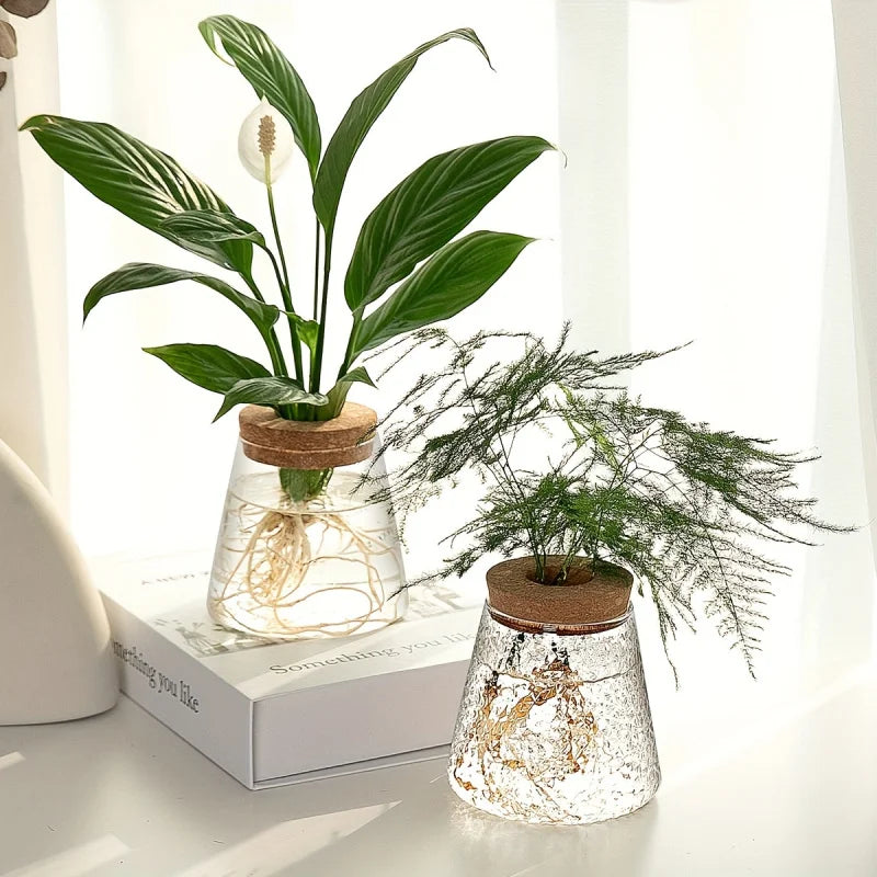 Two glass propagation vases with cork lids holding leafy plant cuttings on a white tabletop in bright natural light