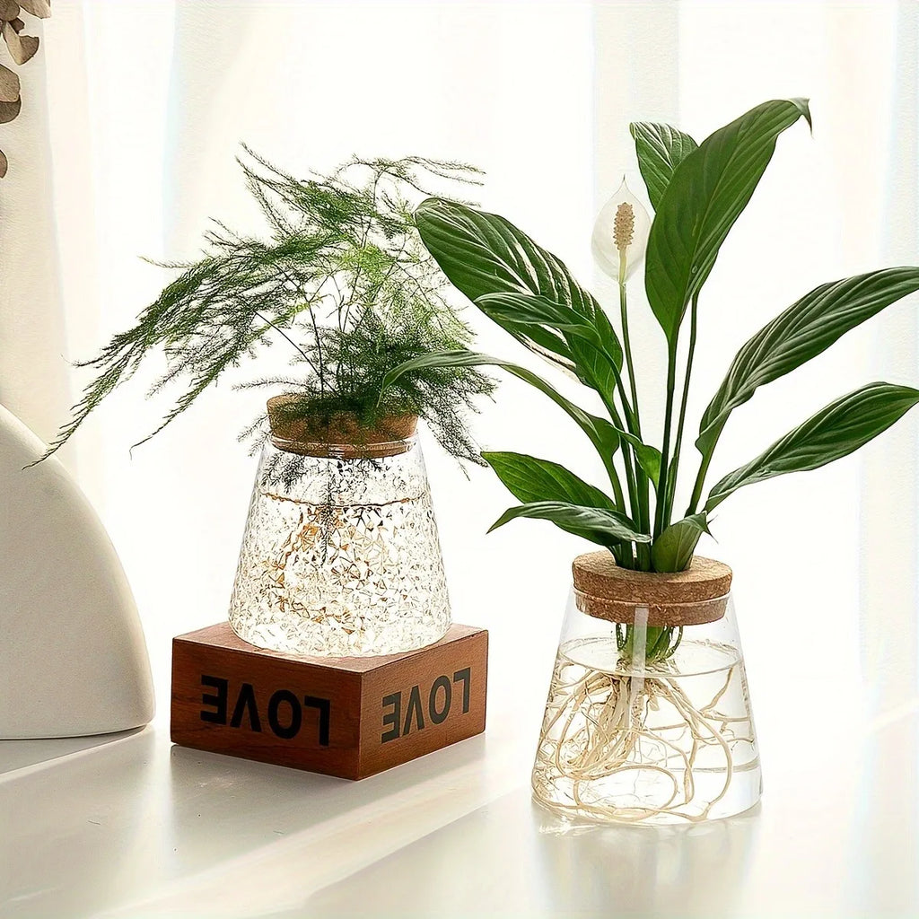 Propagation vases with green plant cuttings, one vase resting on a wooden decorative base, in a cozy home setting