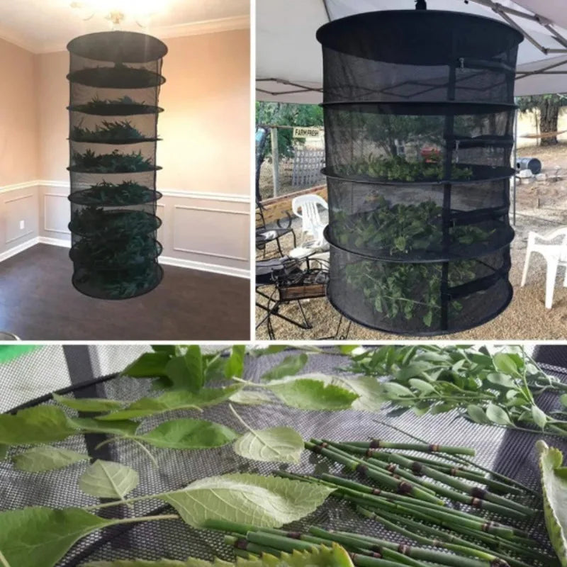 Large mesh drying racks filled with green leaves, shown hanging indoors in a dining room and outdoors under a canopy