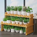 2-Tier Bamboo Plant Stand Shelf for Windowsill, Countertop, or Desk Organization