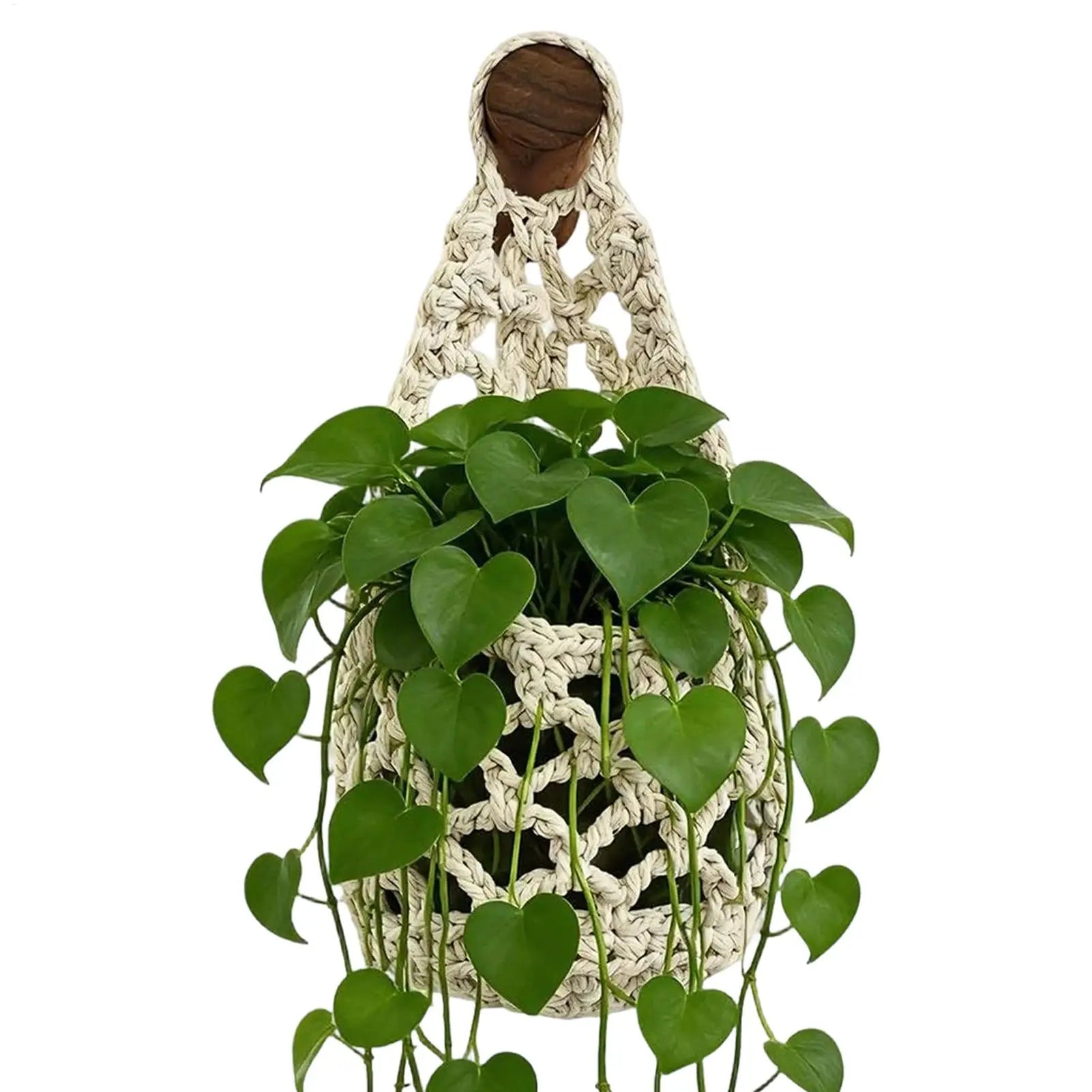 White cotton rope macrame hanging plant basket holding a heartleaf philodendron on a hook